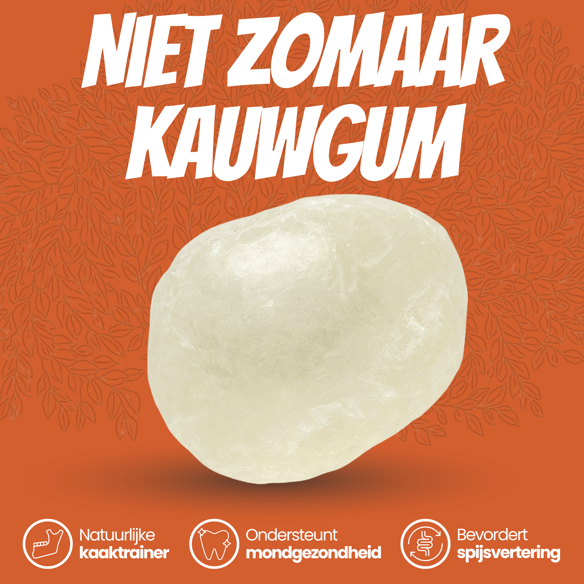 Apollo Mastic Gum® 40g