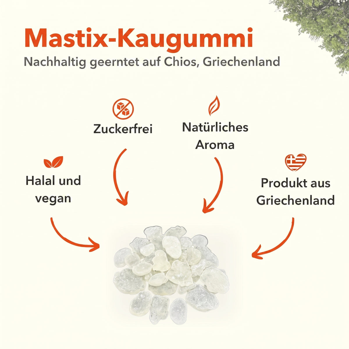 Apollo Mastix-Kaugummi® 25g