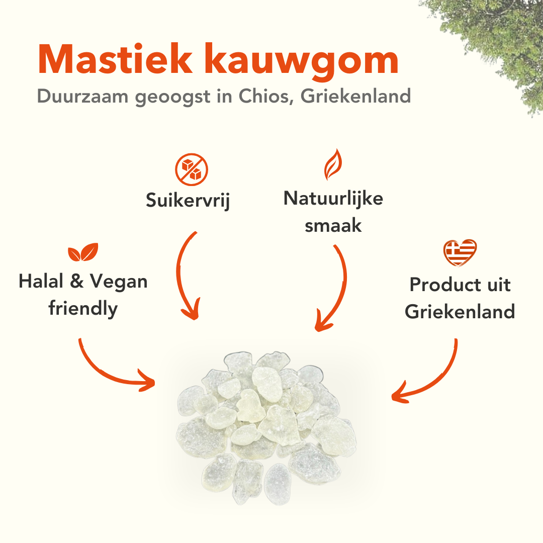 Apollo Mastic Gum® 25g