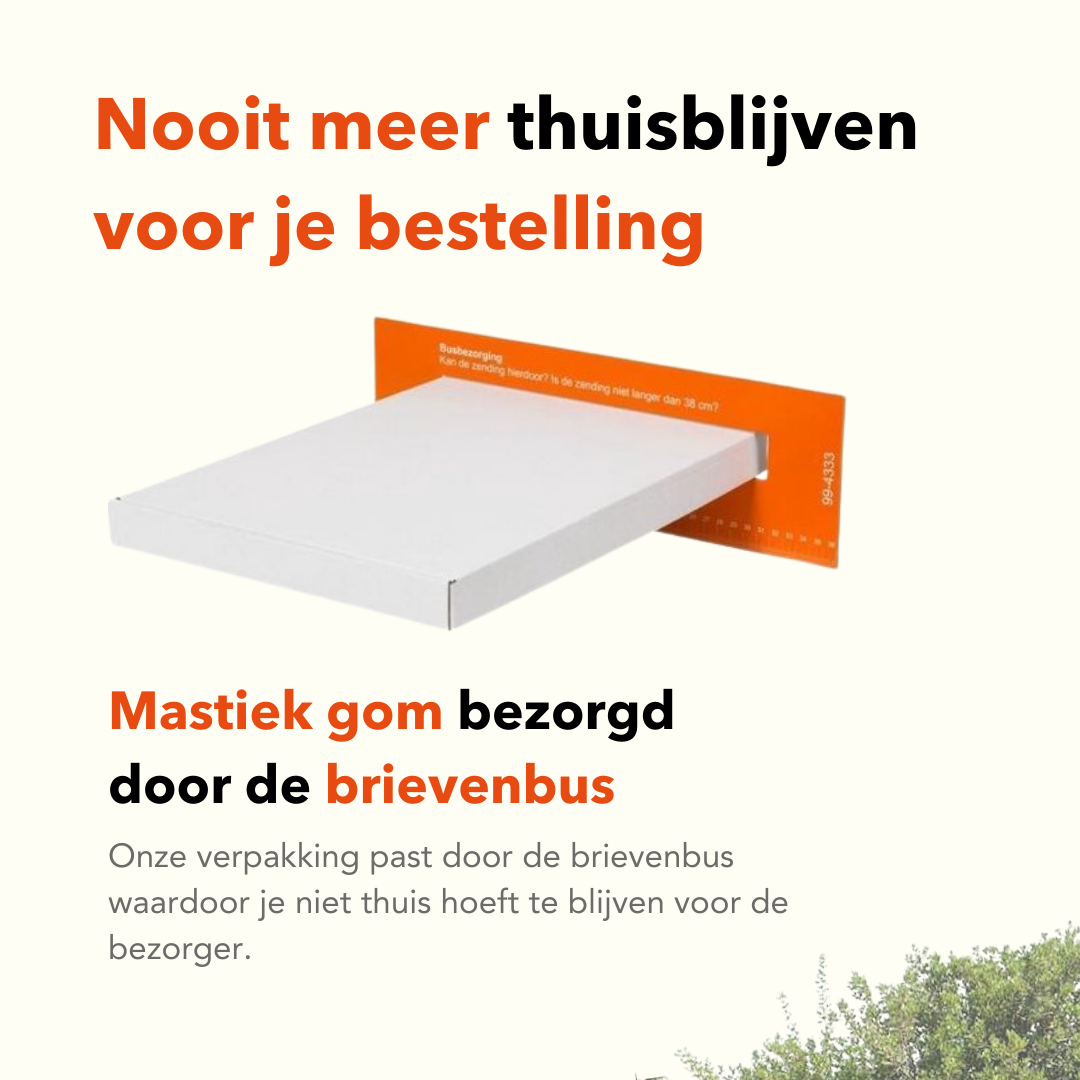 Apollo Mastic Gum® 25g