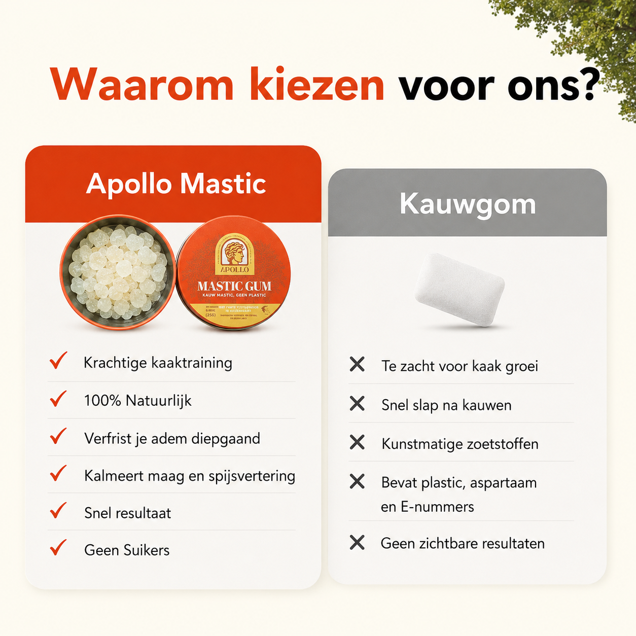 Apollo Mastic Gum® 40g