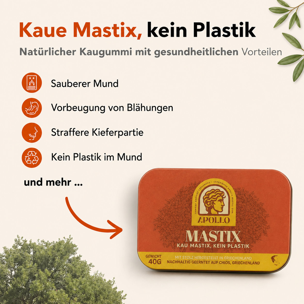 Apollo Mastix-Kaugummi® 40g