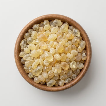 Foto van Mastic Gum geposeerd in een bakje. Mastic Gum is een van de belangrijkste ingredienten van apollo kauwgom. 