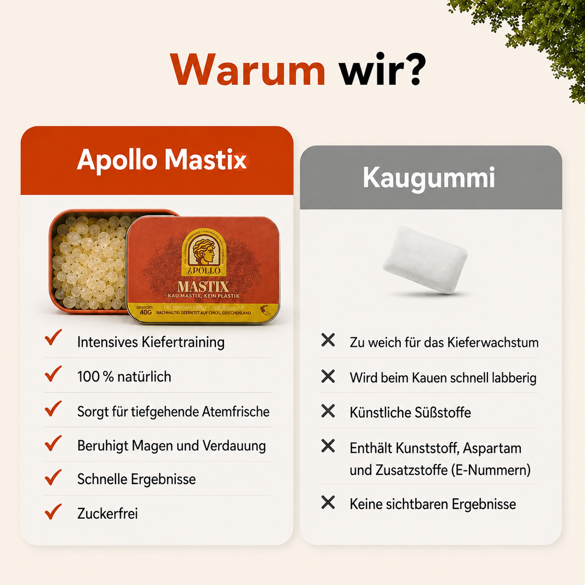 Apollo Mastix-Kaugummi® 40g